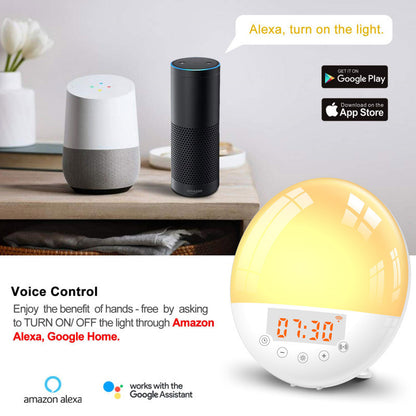 WiFi Voice Control Intelligent Alarm Clock, Sunrise Natural Wake-up Light - DOGNORGAL