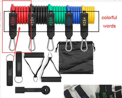 Fitness Rally Elastic Rope Resistance Band - DOGNORGAL