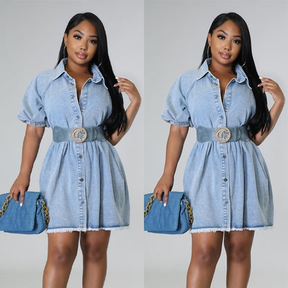 Women's Casual Cardigan Lapel Shirt Denim Dress - DOGNORGAL