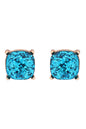 Ae0333-Glitter Epoxy Stud Earrings - DOGNORGAL