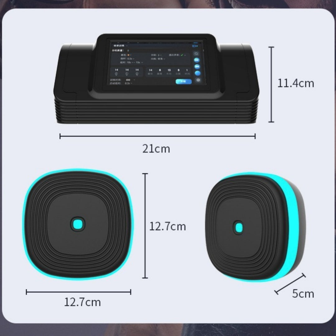 Home Smart Split Bluetooth Music Boxing Target - DOGNORGAL