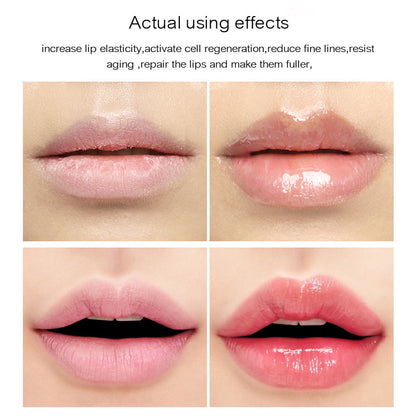 Lip  glaze with transparent lips - DOGNORGAL