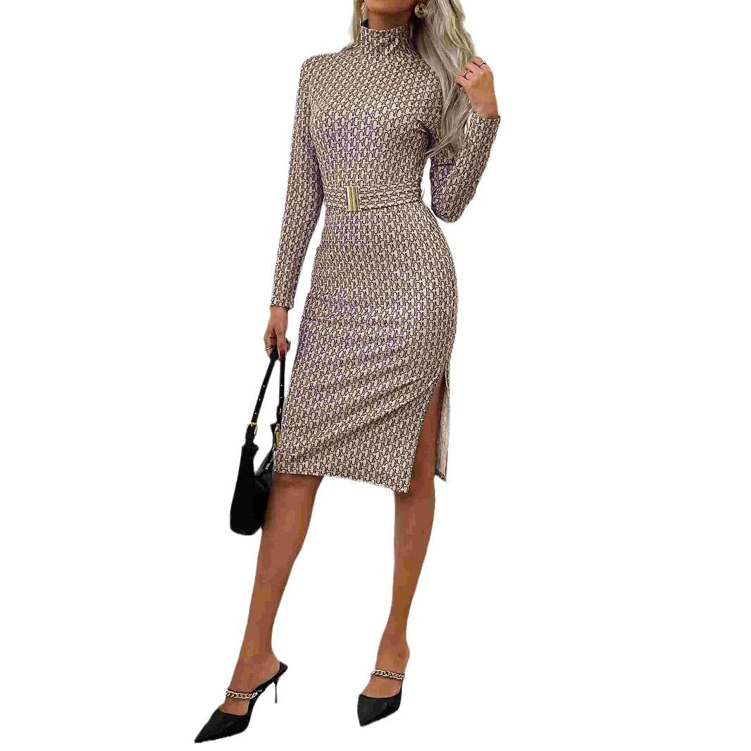 Fashion Special Women's Clothing Sheath Dress - DOGNORGAL