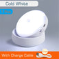 Motion Sensor LED Night Light USB Rechargeable Wall Lamp For Kitchen Cabinet Wardrobe Staircase Room Wireless LED Closet Light - DOGNORGAL